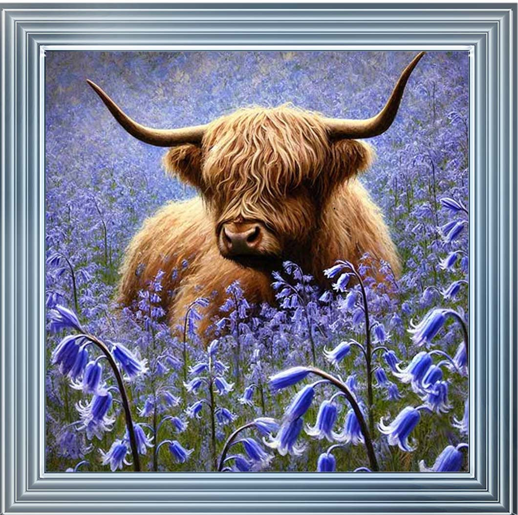 AN2241 Bluebells Highland Coo