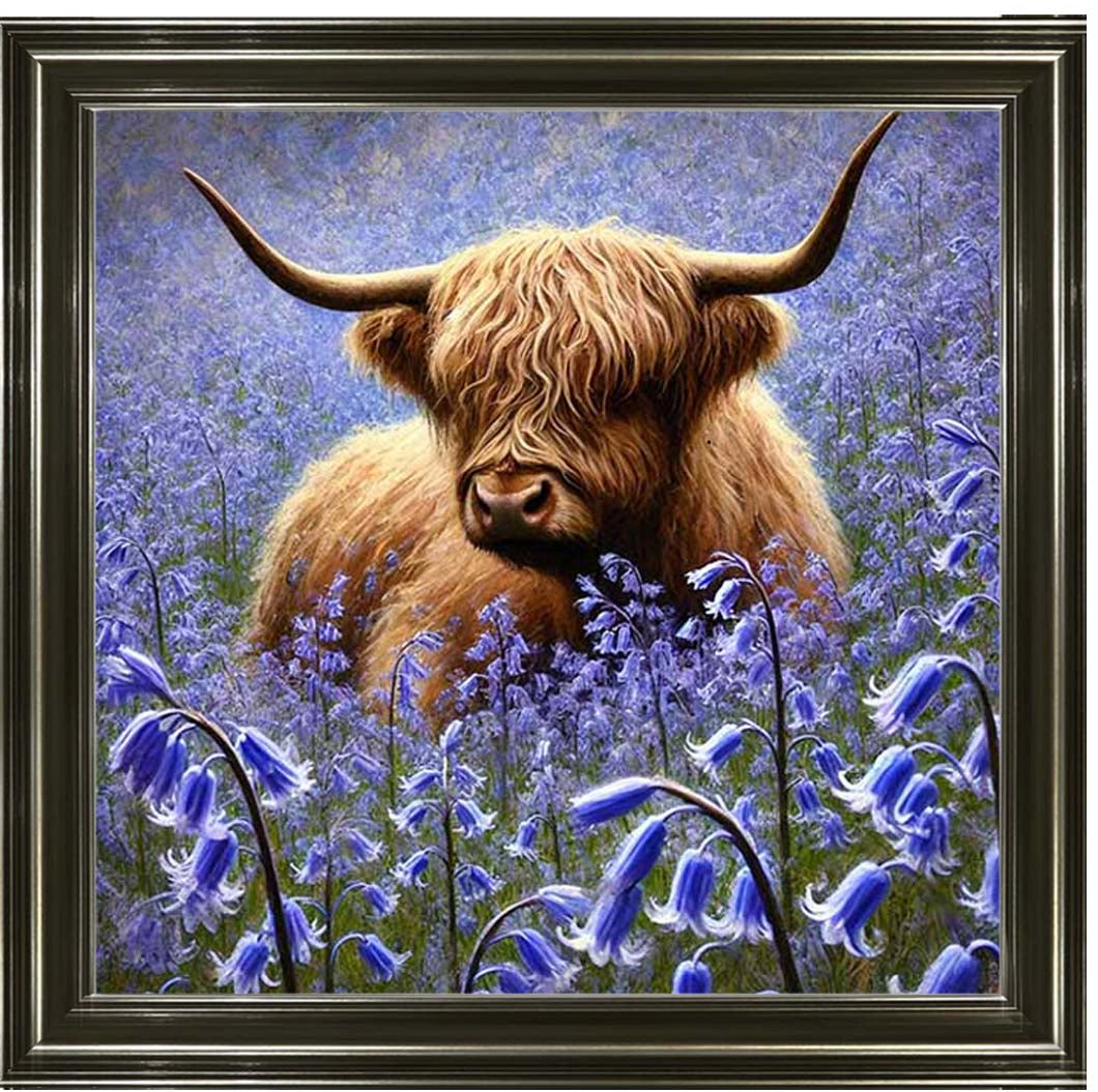 AN2241 Bluebells Highland Coo