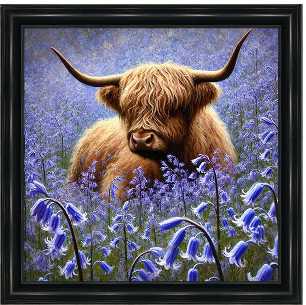 AN2241 Bluebells Highland Coo