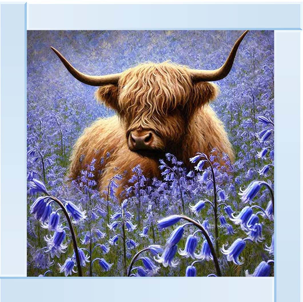 AN2241 Bluebells Highland Coo