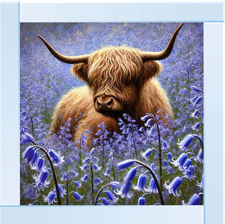 AN2241 Bluebells Highland Coo