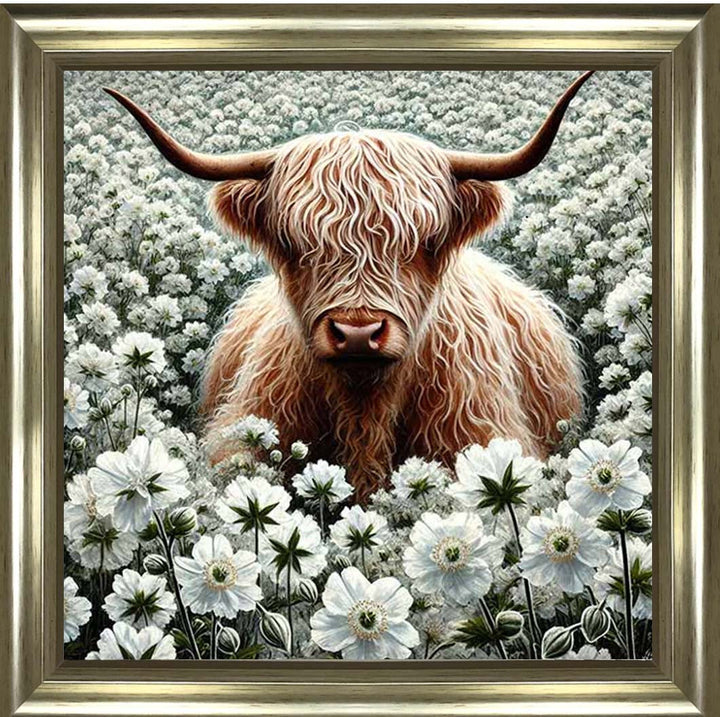 AN2242 Seamless Highland Coo
