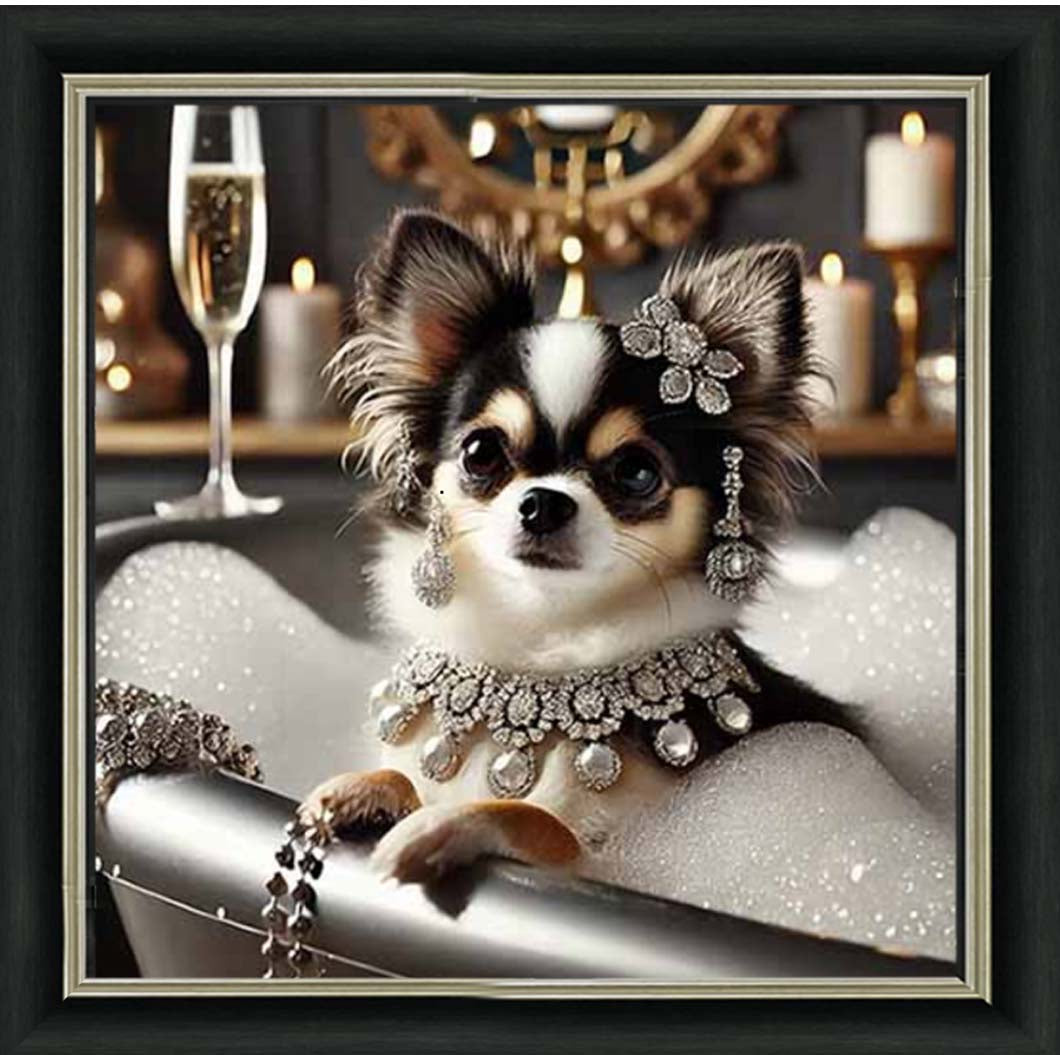 AN2252 Glamorous Chihuahua