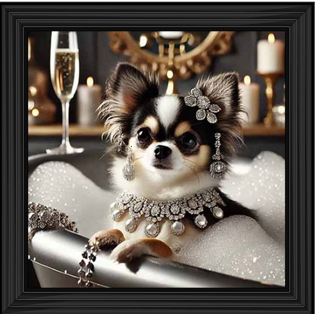 AN2252 Glamorous Chihuahua