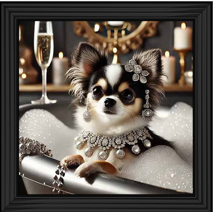 AN2252 Glamorous Chihuahua