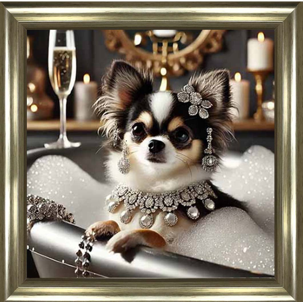 AN2252 Glamorous Chihuahua