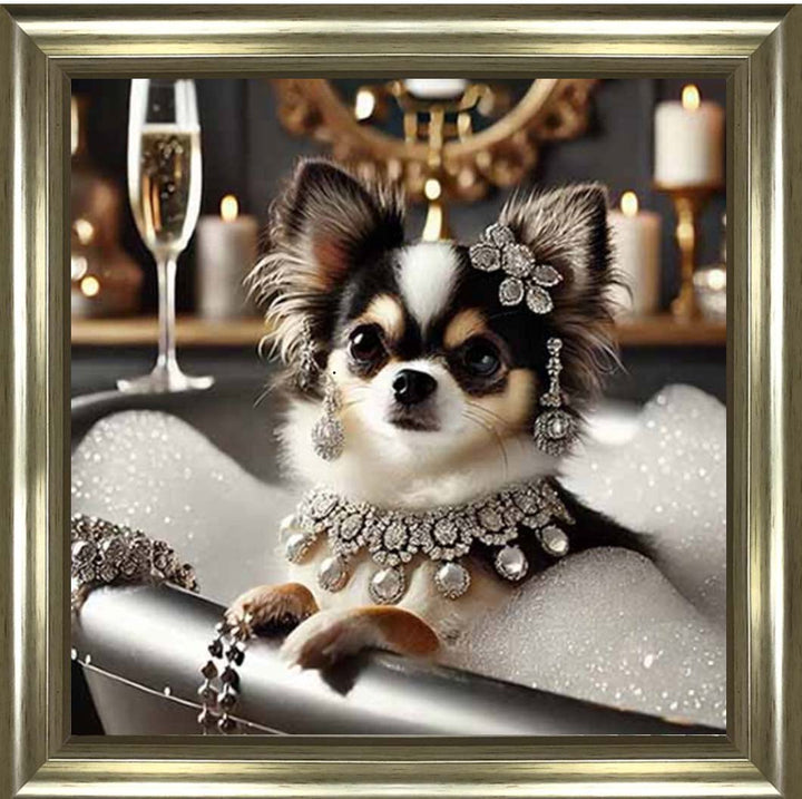 AN2252 Glamorous Chihuahua