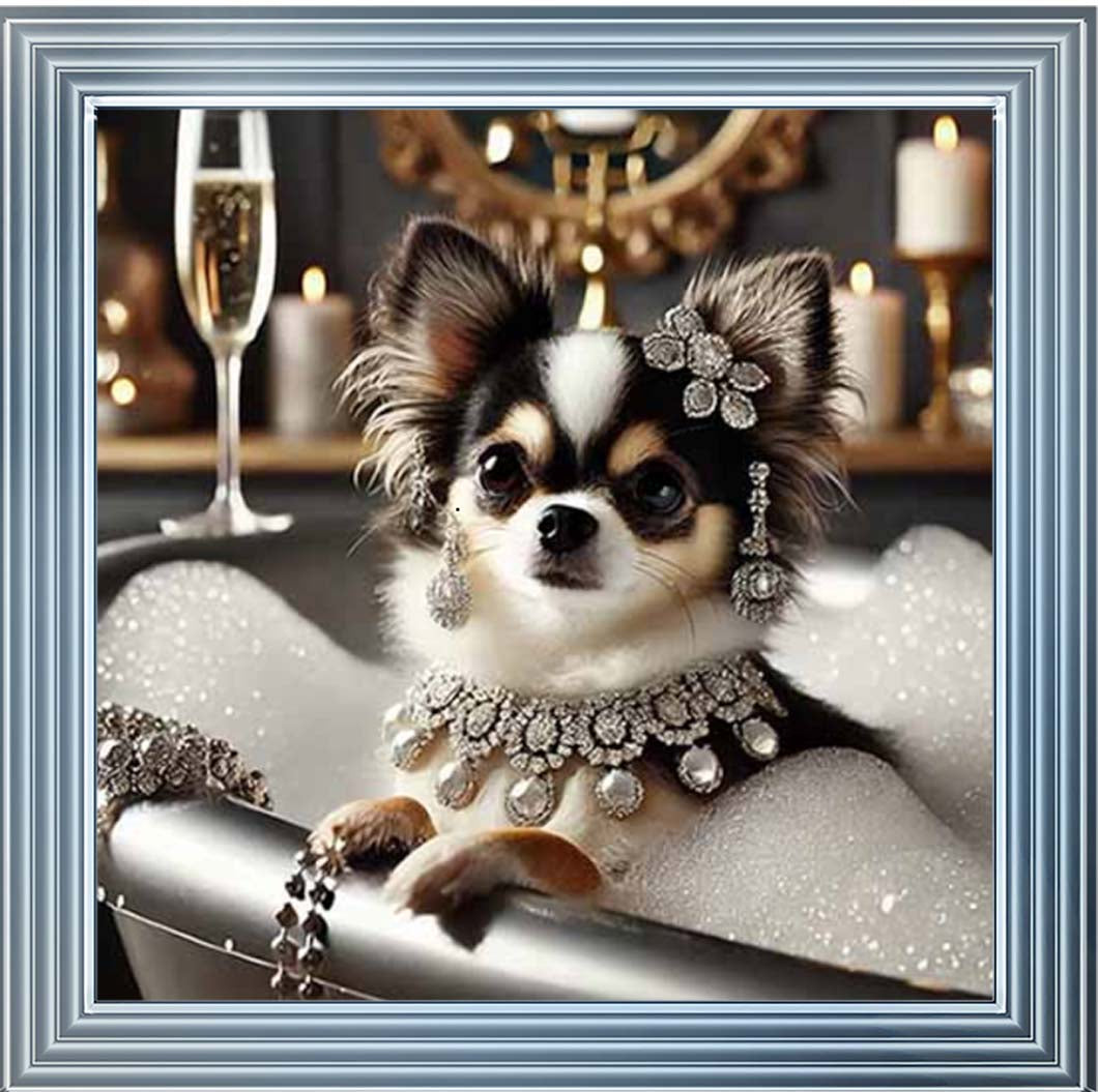 AN2252 Glamorous Chihuahua