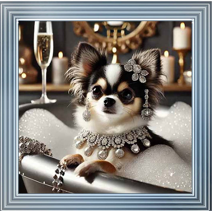 AN2252 Glamorous Chihuahua