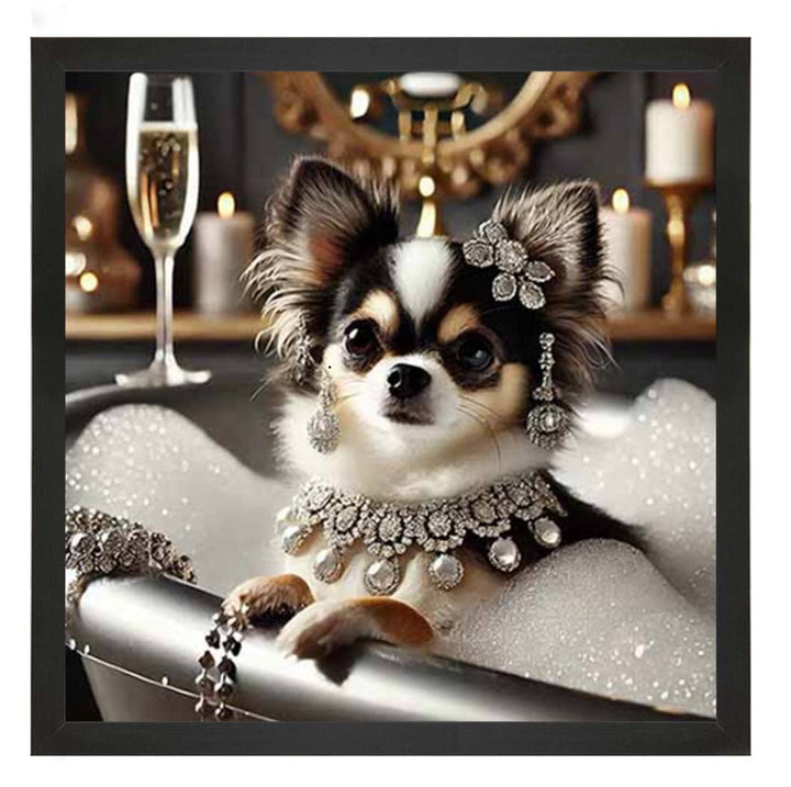 AN2252 Glamorous Chihuahua