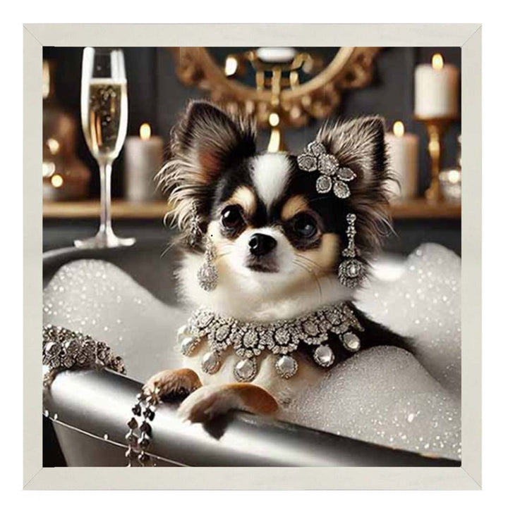 AN2252 Glamorous Chihuahua
