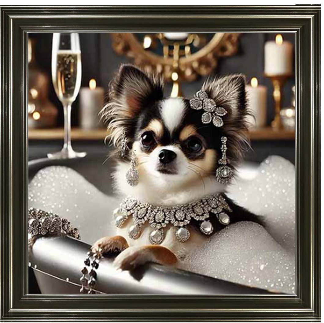 AN2252 Glamorous Chihuahua