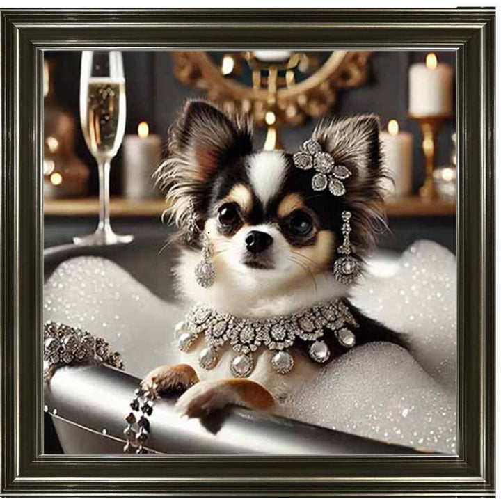 AN2252 Glamorous Chihuahua
