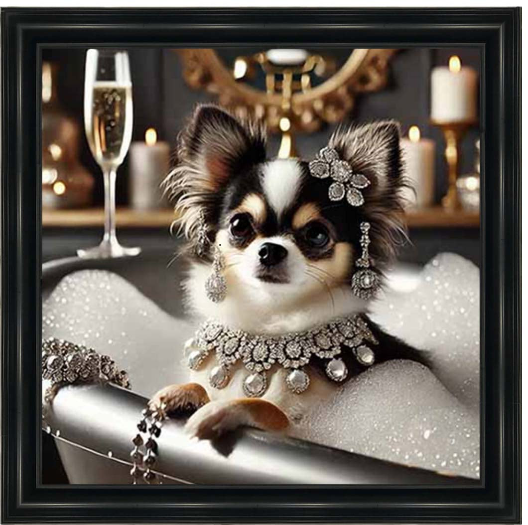 AN2252 Glamorous Chihuahua
