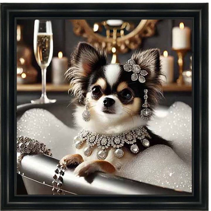 AN2252 Glamorous Chihuahua