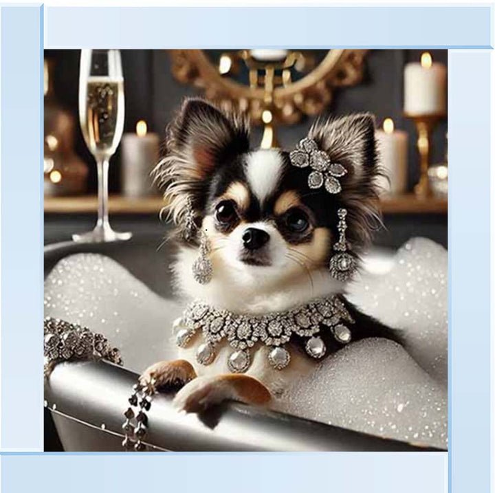 AN2252 Glamorous Chihuahua