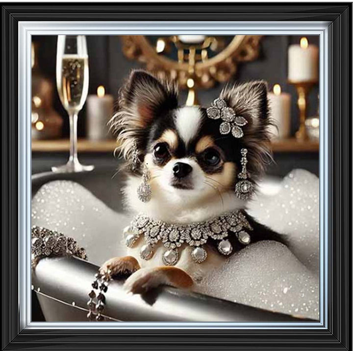 AN2252 Glamorous Chihuahua
