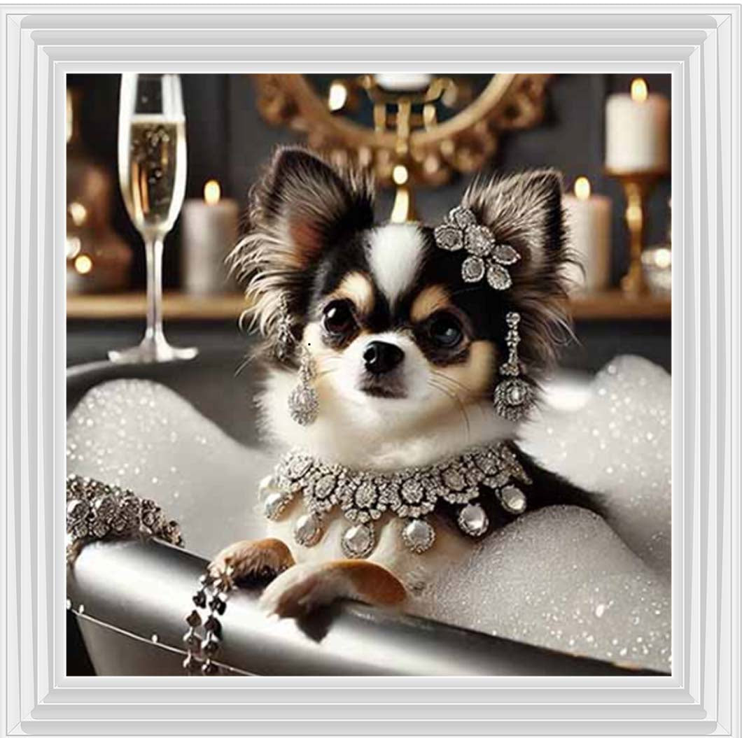AN2252 Glamorous Chihuahua