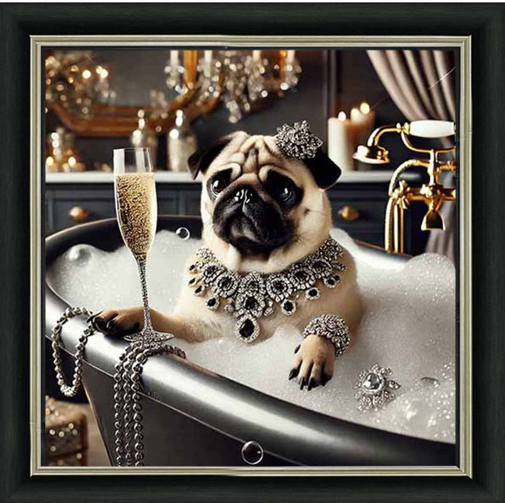 AN2253 Glamorous Bulldog