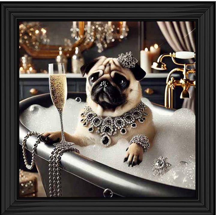 AN2253 Glamorous Bulldog