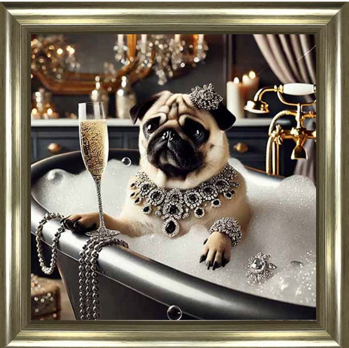 AN2253 Glamorous Bulldog