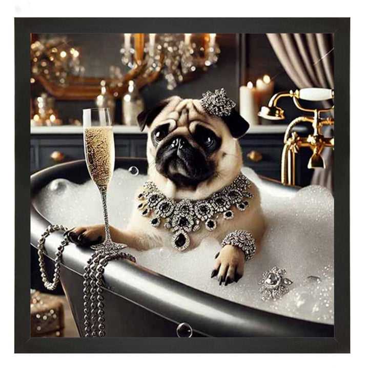 AN2253 Glamorous Bulldog