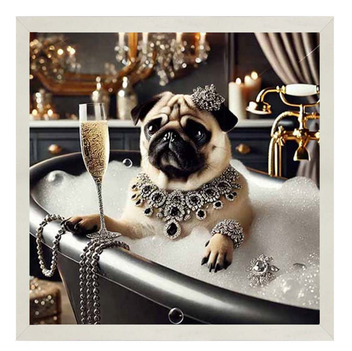 AN2253 Glamorous Bulldog