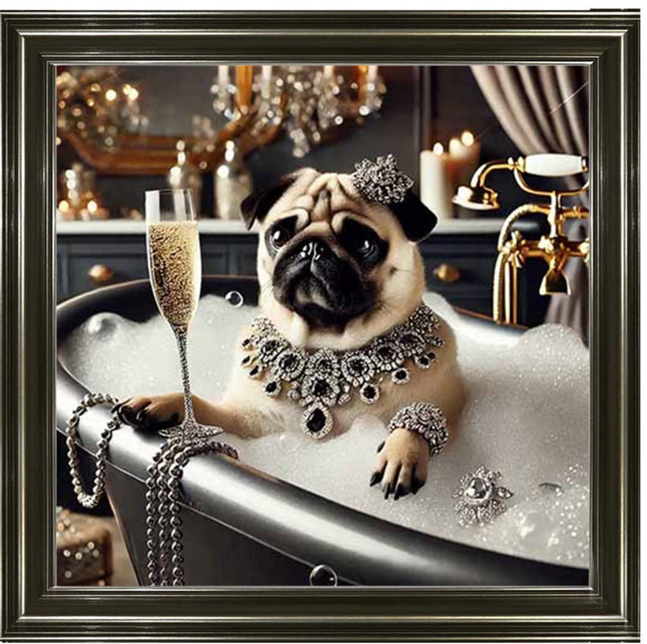 AN2253 Glamorous Bulldog