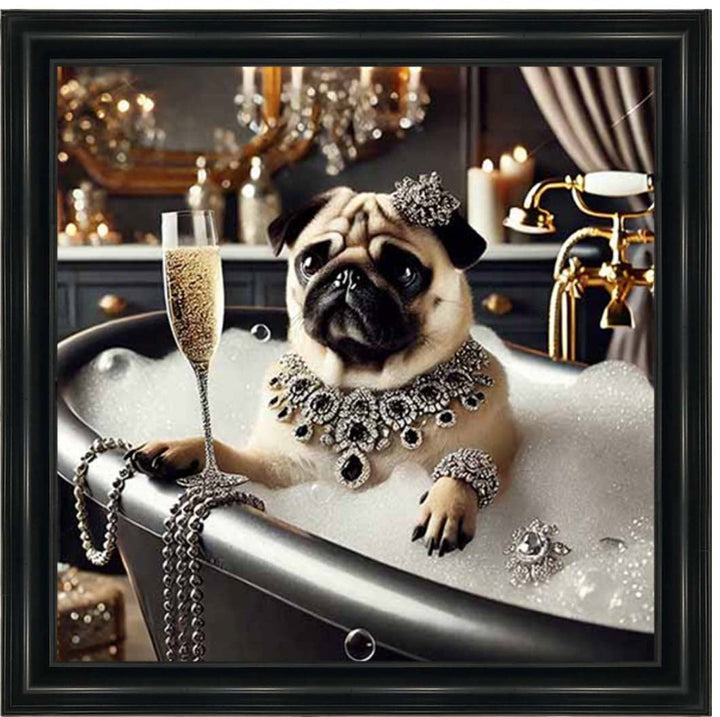 AN2253 Glamorous Bulldog