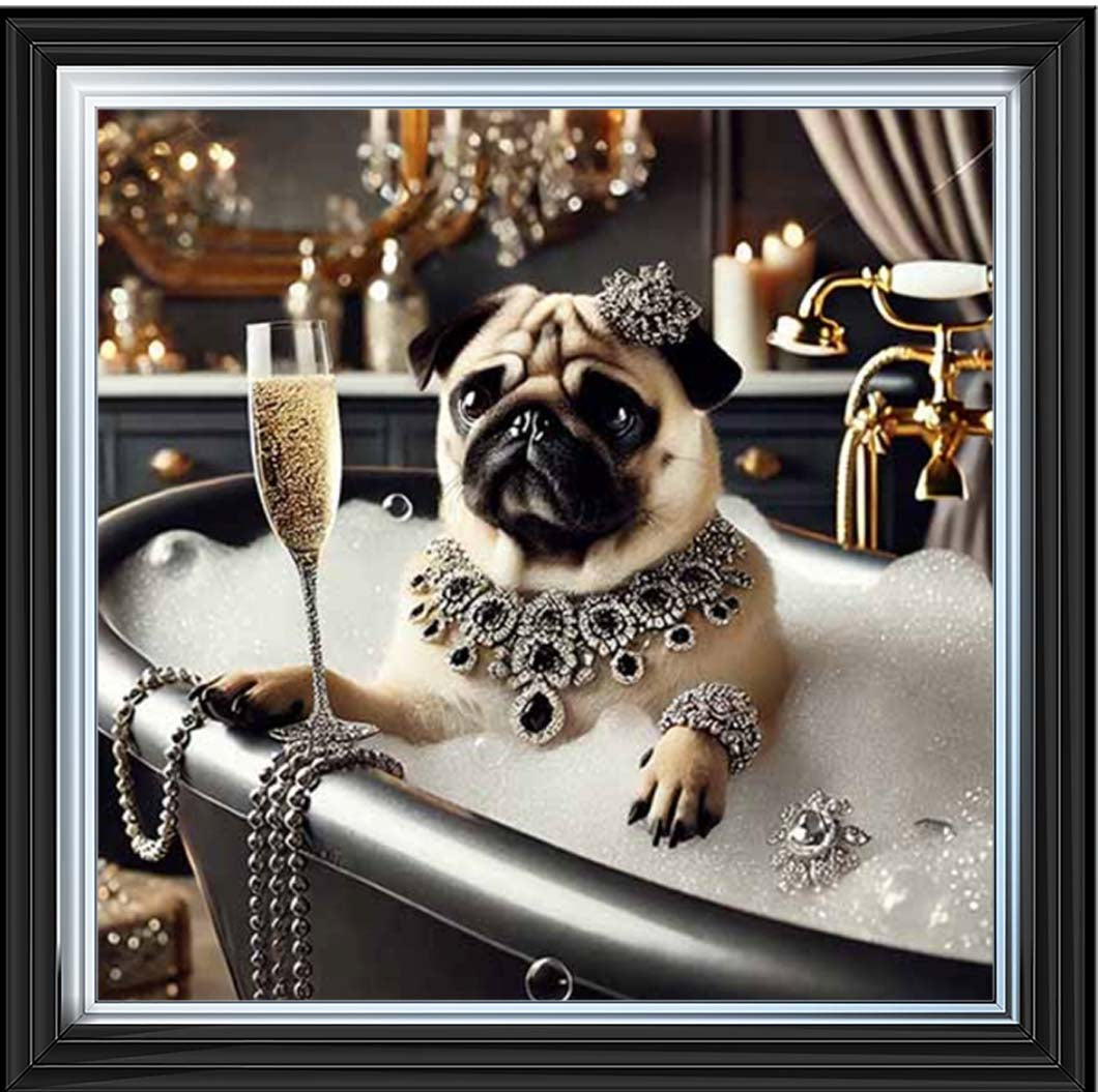 AN2253 Glamorous Bulldog
