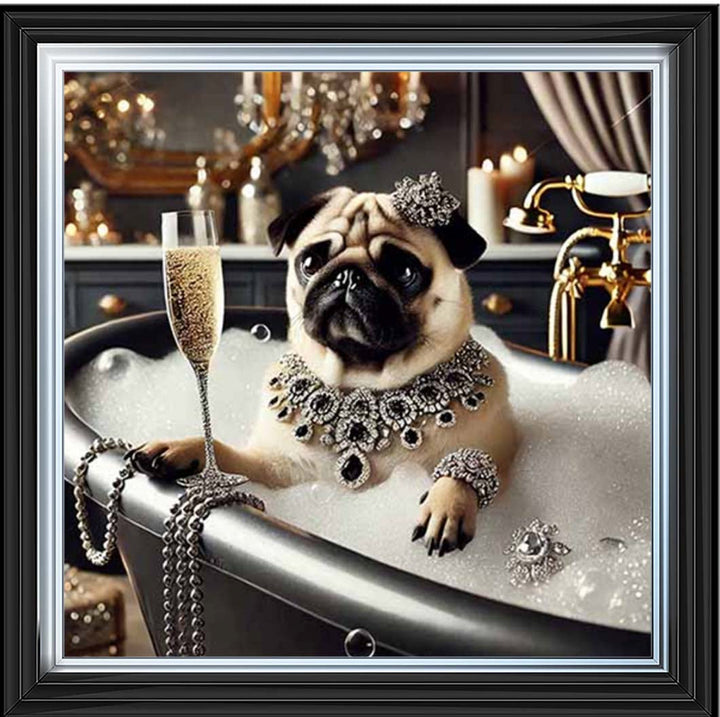 AN2253 Glamorous Bulldog