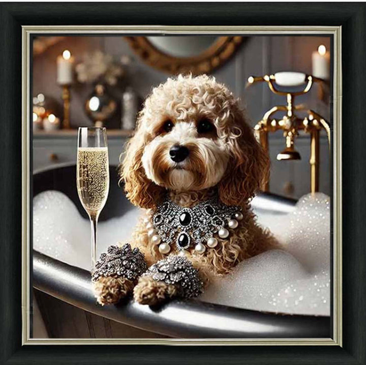 AN2254 Glamorous Cockapoo