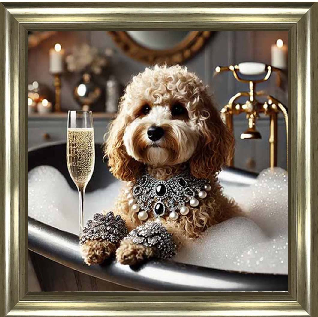 AN2254 Glamorous Cockapoo