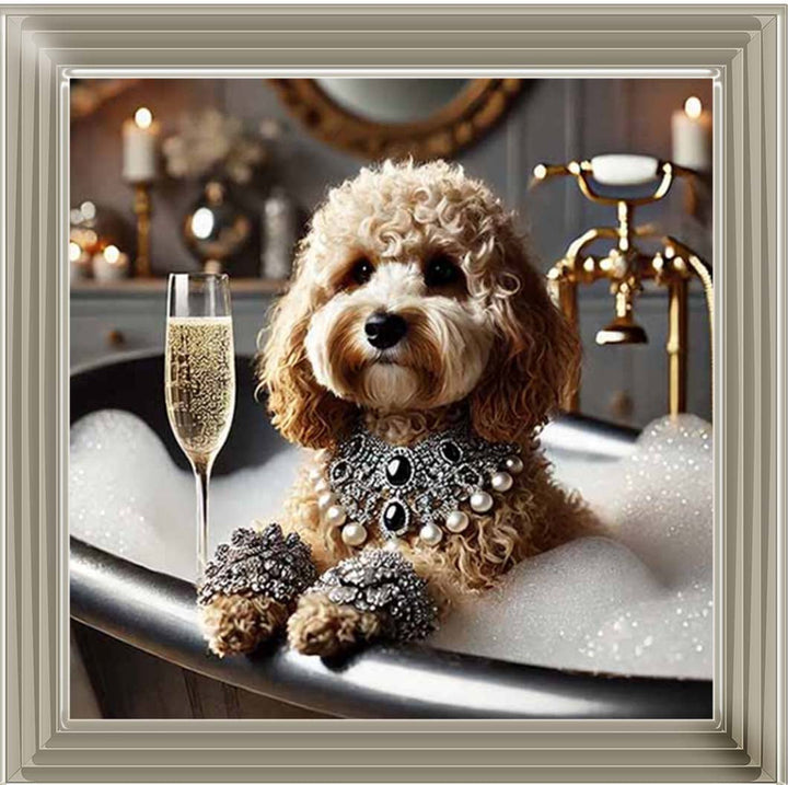 AN2254 Glamorous Cockapoo