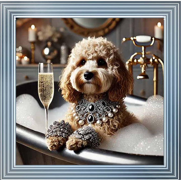 AN2254 Glamorous Cockapoo
