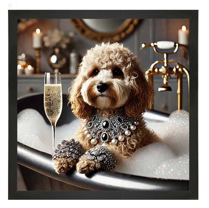 AN2254 Glamorous Cockapoo