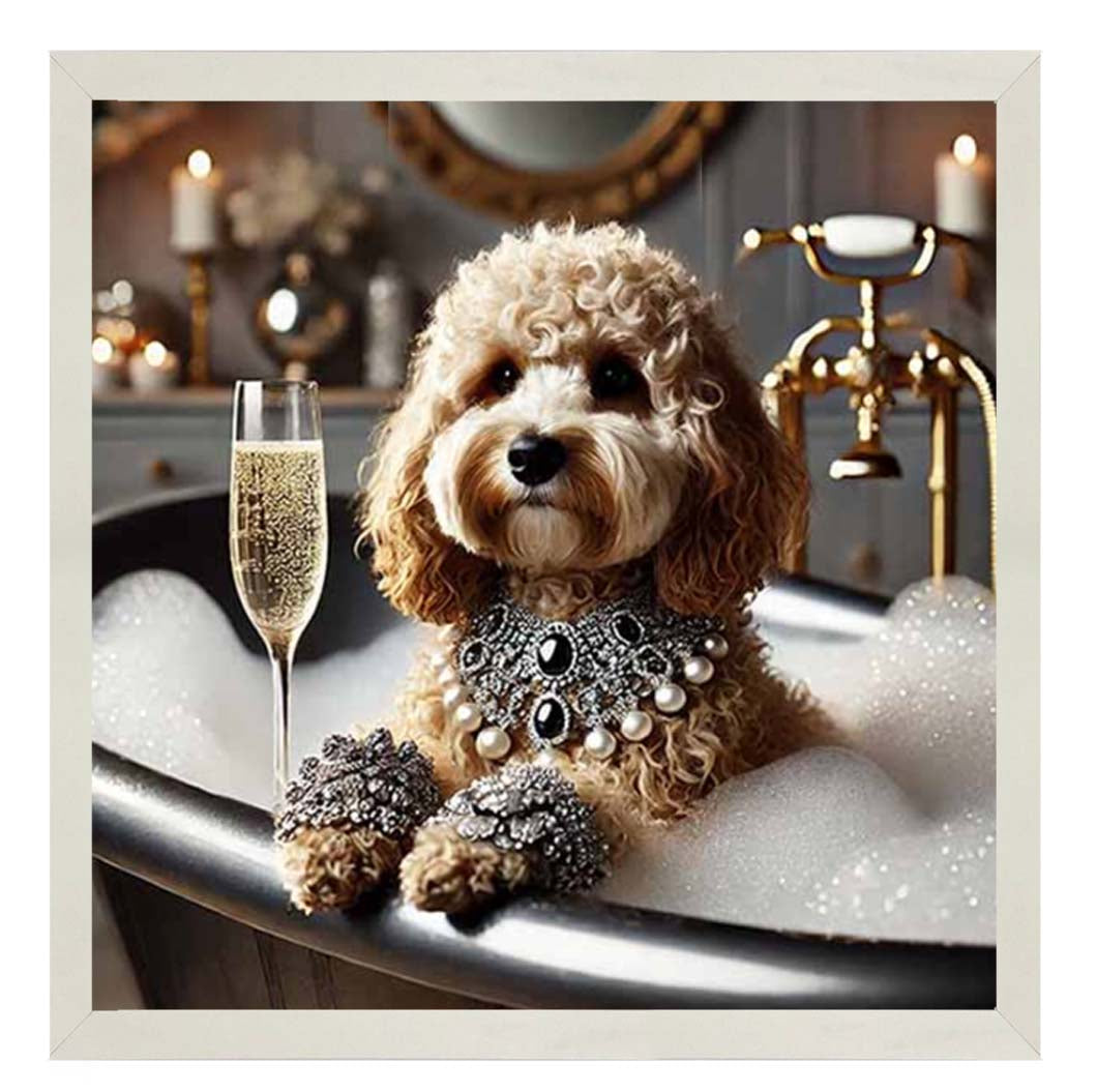 AN2254 Glamorous Cockapoo