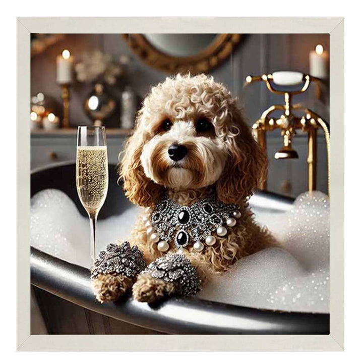 AN2254 Glamorous Cockapoo
