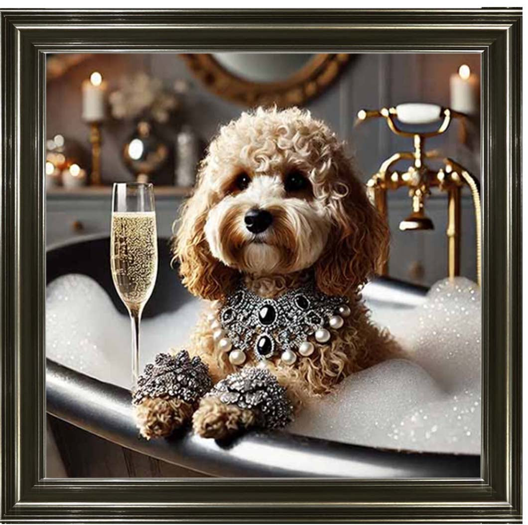 AN2254 Glamorous Cockapoo