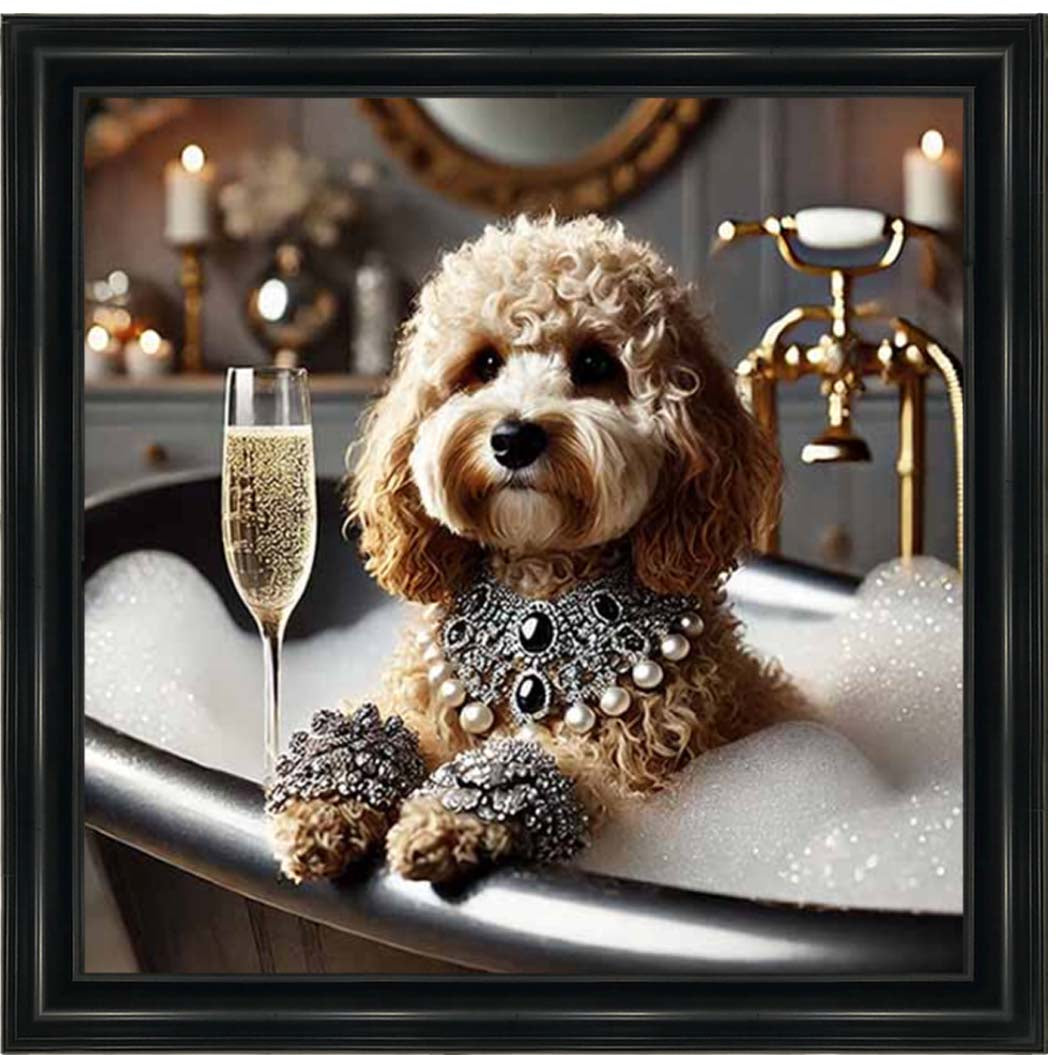 AN2254 Glamorous Cockapoo
