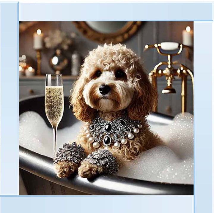 AN2254 Glamorous Cockapoo