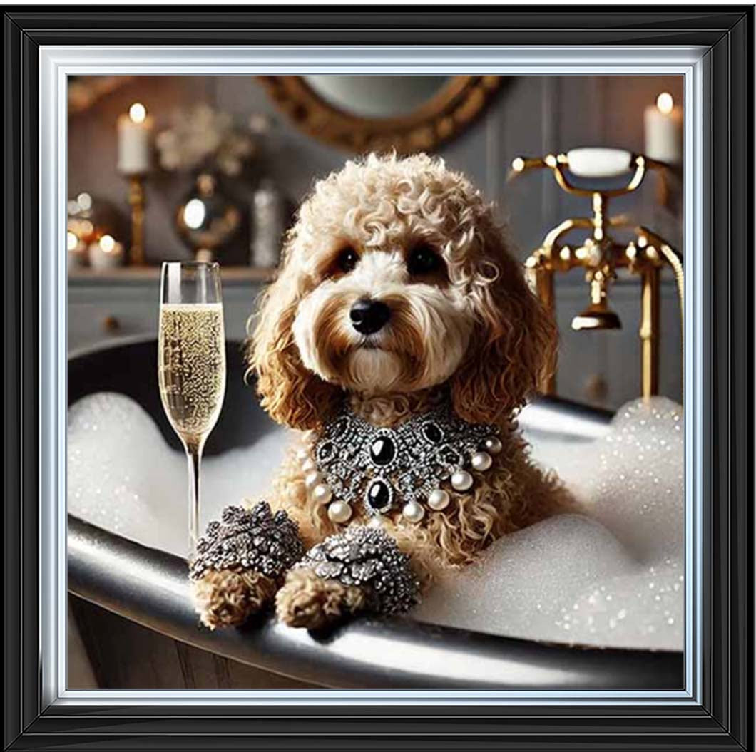 AN2254 Glamorous Cockapoo