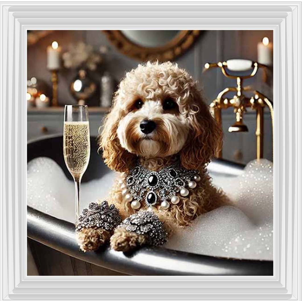 AN2254 Glamorous Cockapoo
