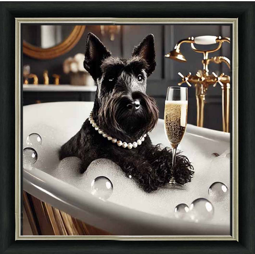 AN2255 Glamorous Scotties