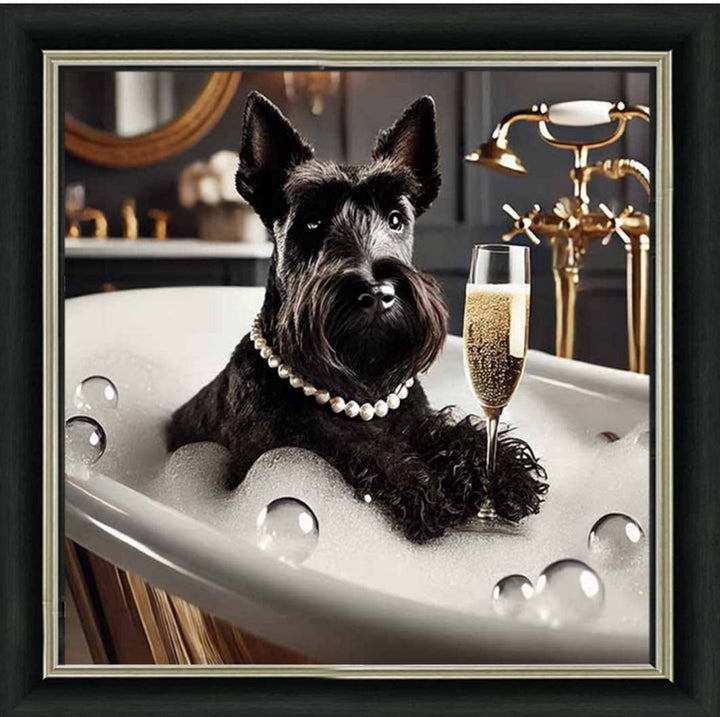 AN2255 Glamorous Scotties