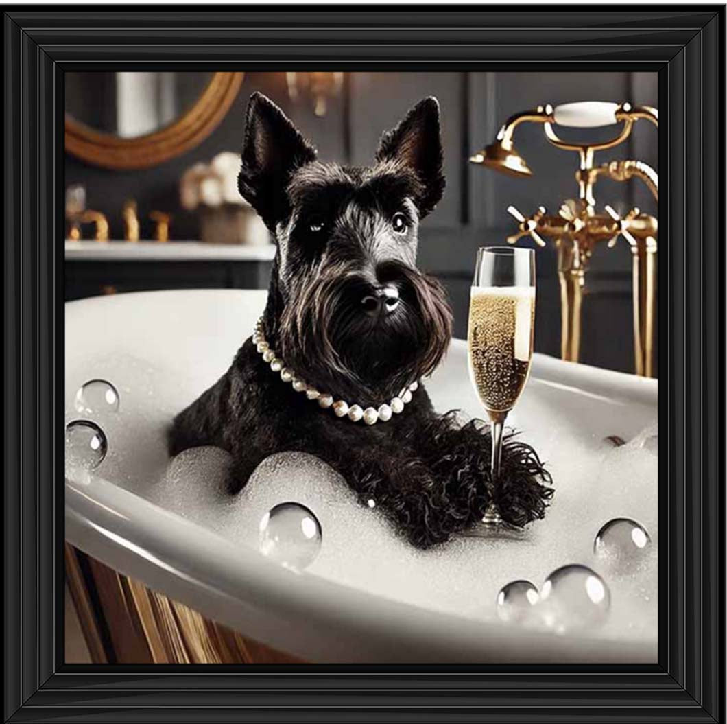 AN2255 Glamorous Scotties