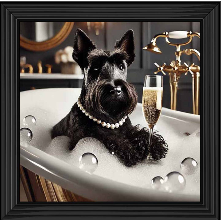 AN2255 Glamorous Scotties