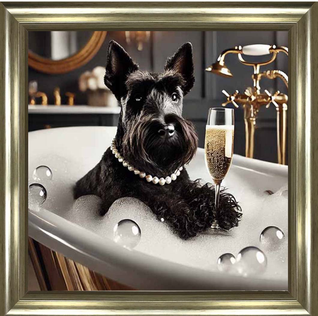AN2255 Glamorous Scotties