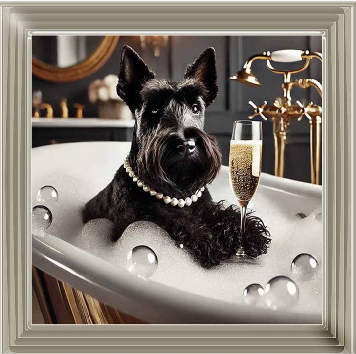 AN2255 Glamorous Scotties