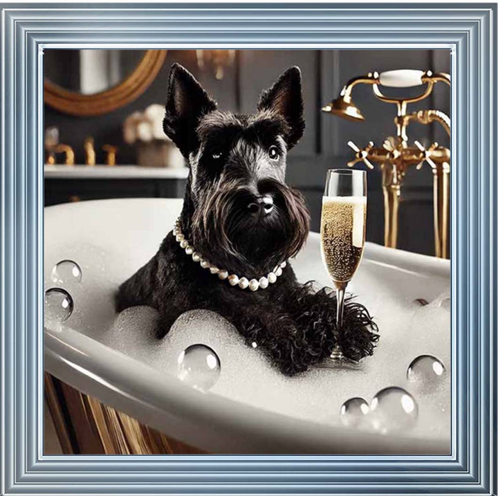 AN2255 Glamorous Scotties